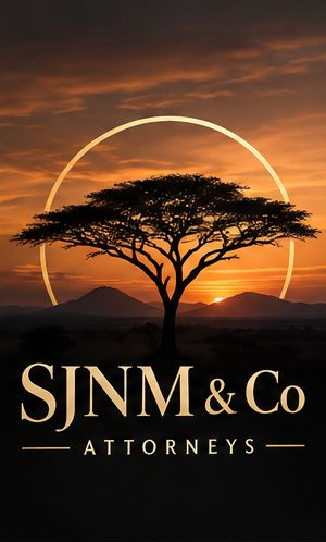 SJNM & Co. Attorneys logo